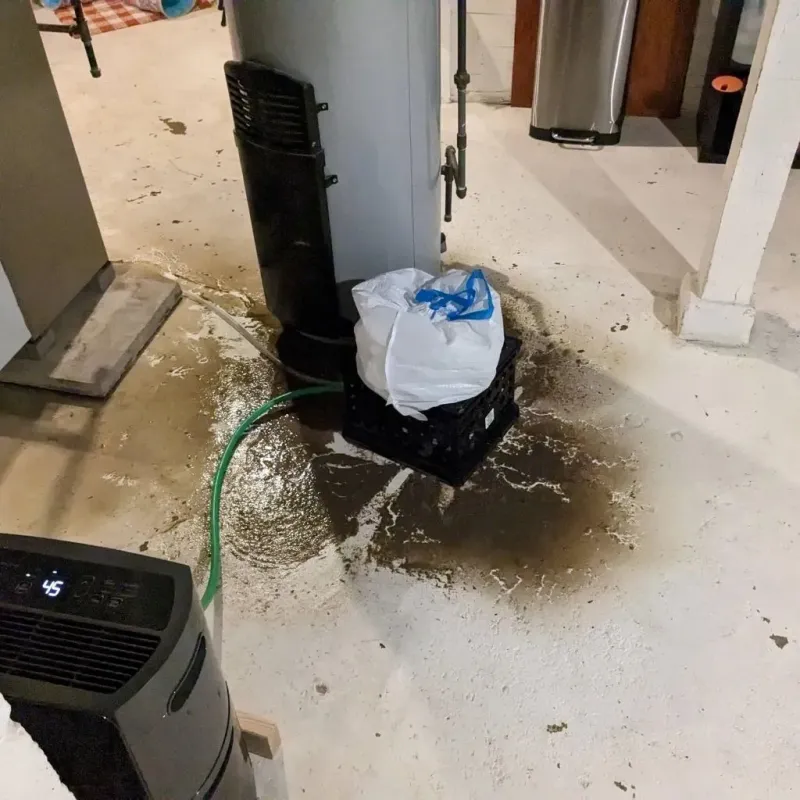 Sewage Backup Cleanup Service in Martins Ferry, OH